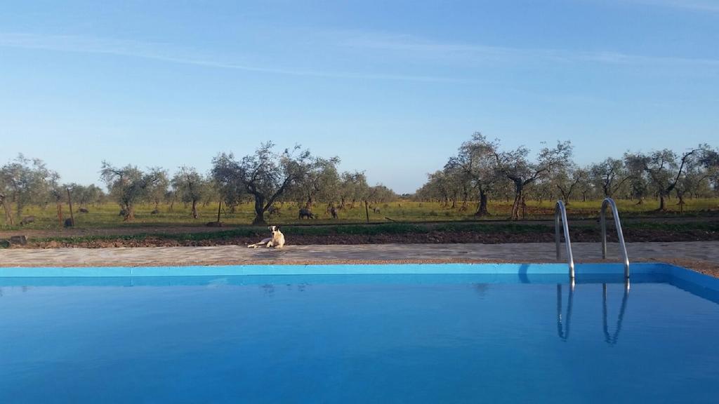 Valdezaque